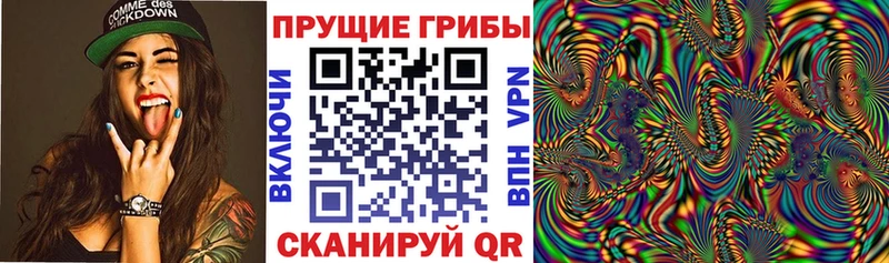 Псилоцибиновые грибы Magic Shrooms купить наркоту Щёкино