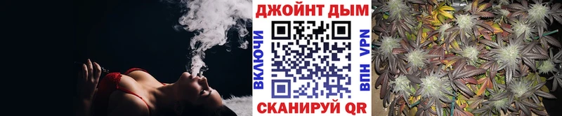 Конопля гибрид  Щёкино 
